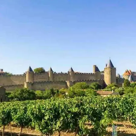 アパート T2 Avec Vue Chateau カルカソンヌ