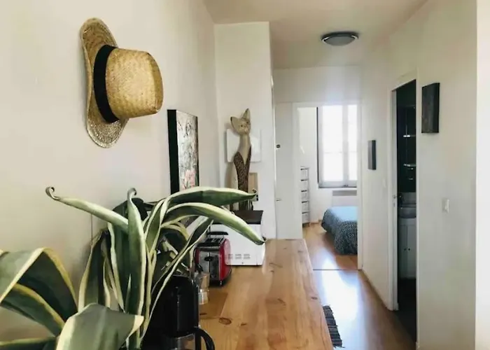 Appartement T2 Avec Vue Château Carcassonne